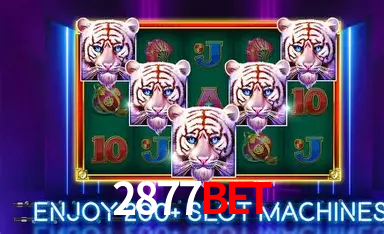 2877Bet,2877Bet Vip